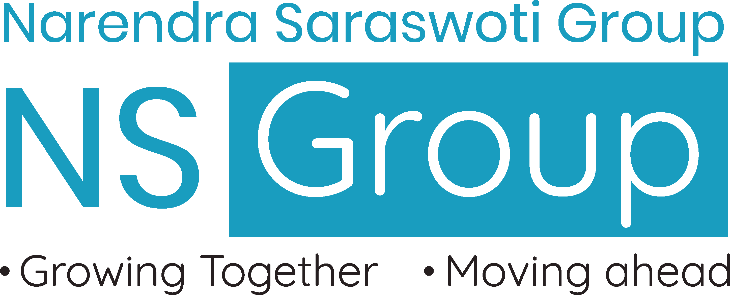 NS Group Logo